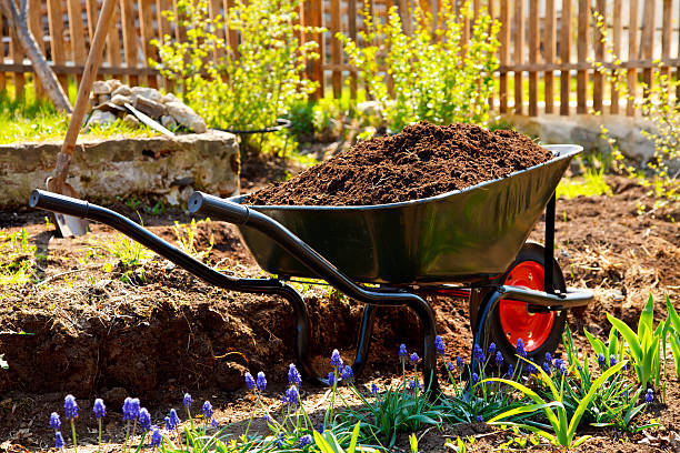 istock Wheelbarrow in a garden 104257077