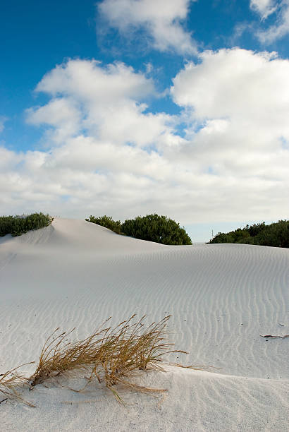 Cтоковое фото Пустынный пейзаж с голубое небо над головой