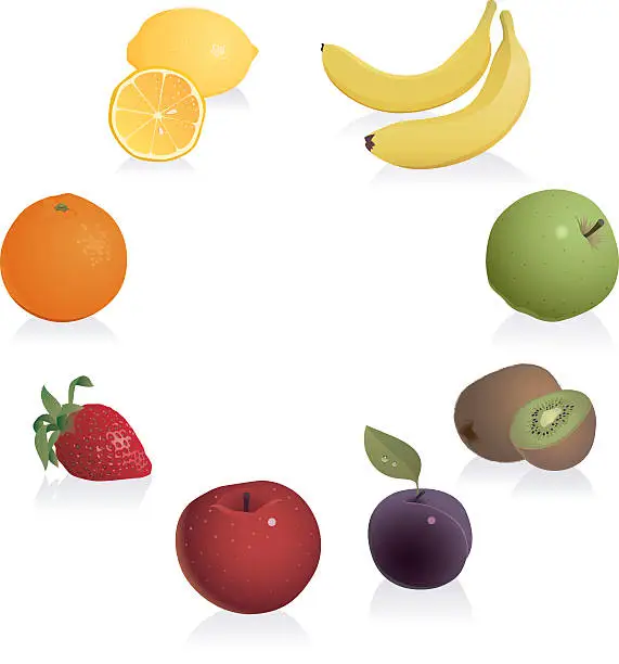 Vector illustration of Colourful fruits