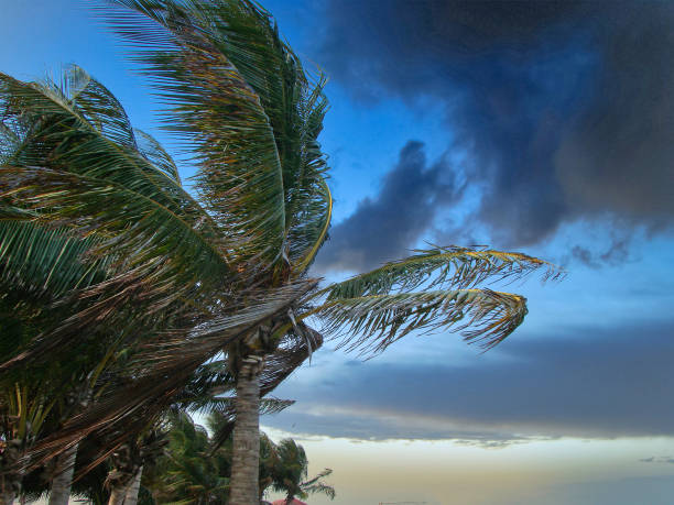 颶風到來前加勒比海天空 - hurricane florida 個照片及圖片檔