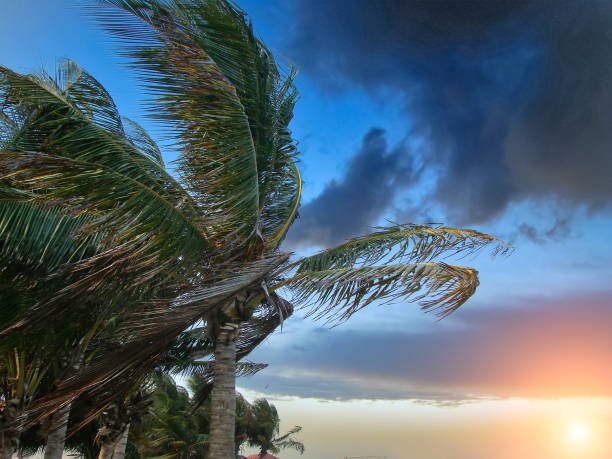карибское небо до прибытия урагана - hurricane florida стоковые фото и изображения