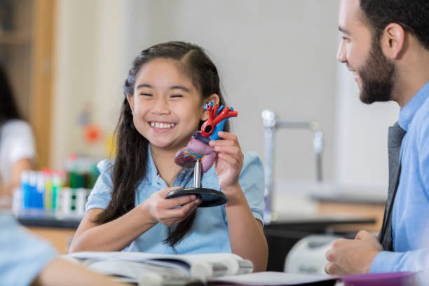 istock Cheerful STEM schoolgirl learns about the human heart 1042602744