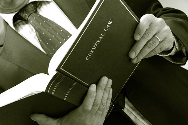 istock lawyer holding criminal law book 104260529
