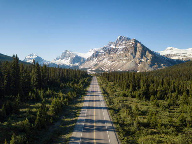 istock Scenic Highway in Banff 1042615096