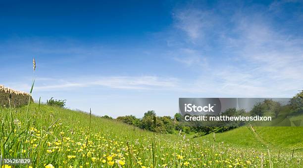 Grande Apertura Pascoli - Fotografie stock e altre immagini di Prateria - Campo - Prateria - Campo, Campo, Copy Space