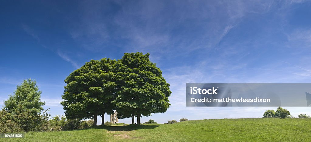 Big open pasture  Agricultural Field Stock Photo