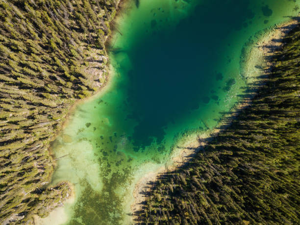 istock Aerial landscape in Banff 1042618804