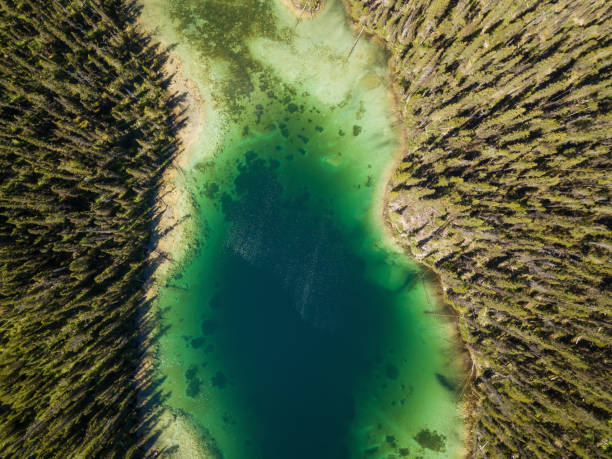 istock Aerial landscape in Banff 1042618858