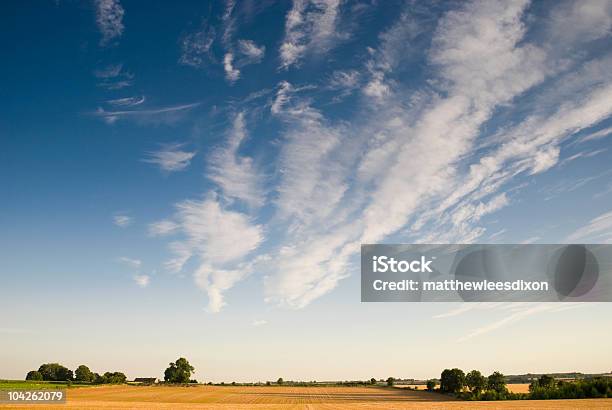 Colheita De Tempo - Fotografias de stock e mais imagens de Agricultura - Agricultura, Alimento Básico, Ao Ar Livre