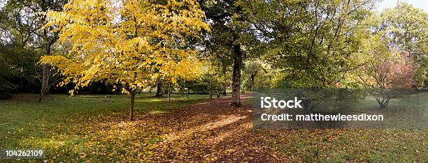 Escenas De Otoño Foto de stock y más banco de imágenes de Actividad al aire libre - Actividad al aire libre, Actividades recreativas, Aire libre