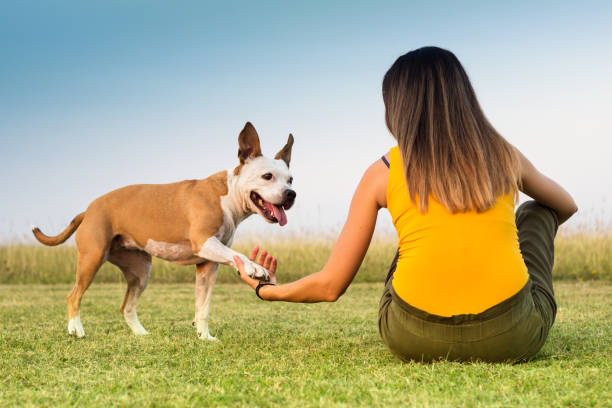 istock Woman with her dog sitting on the grass and exchanges tenderness 1042625482