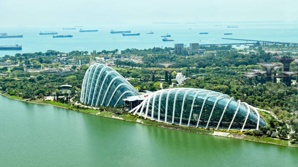 сады у залива в сингапуре - reclaimed land стоковые фото и изображения