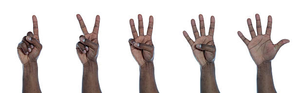 Dark-skinned hand counting stock photo