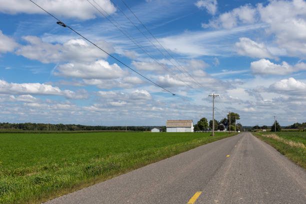 istock Empty road leading to farmhouse with green grass 1042640980