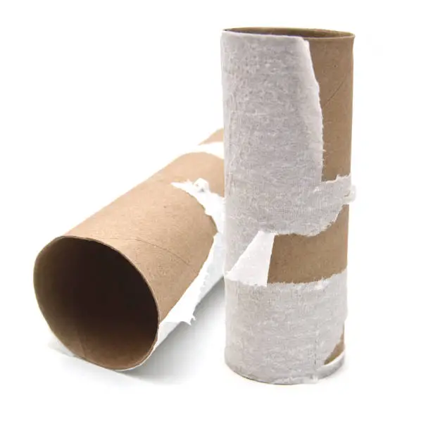 Photo of Two empty toilet rolls on white background