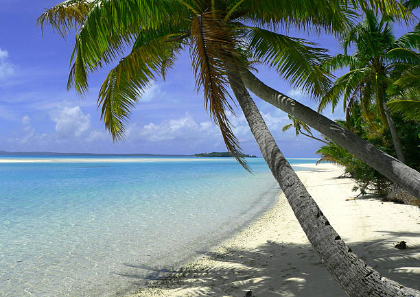 istock tapuaetai 104264595