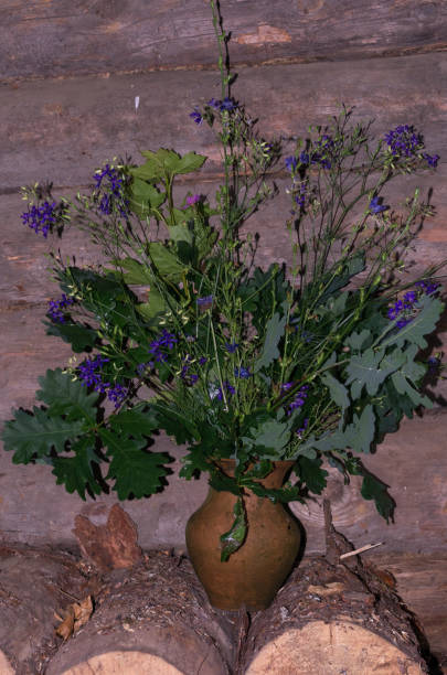 istock Pot with a bouquet. Rural floristics. Rustic still life. 1042657894