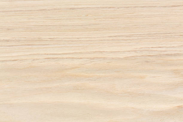 Oak wood design texture. Natural background closeup. Oak wood design texture. Natural background closeup. Extremely high resolution photo. oak wood grain stock pictures, royalty-free photos & images