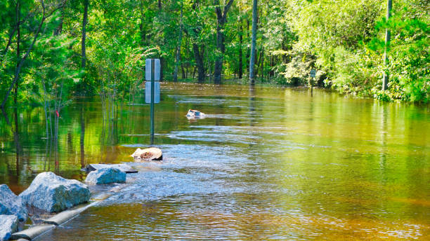 istock Waccamaw River Flooding Hurricane Florence 1042677404