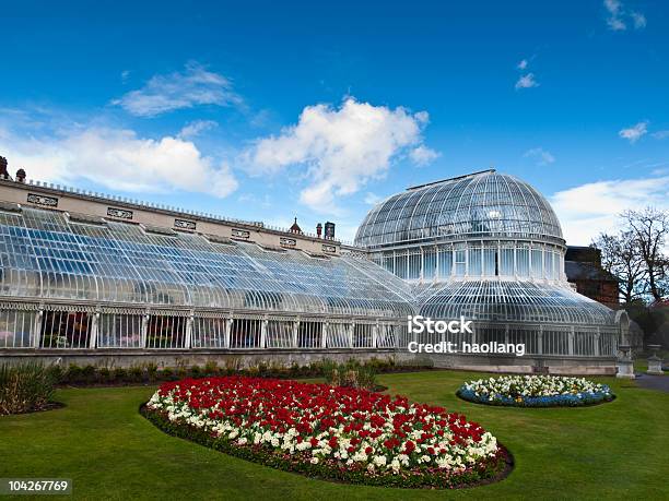 Botanic Palm House Belfast Irlanda Del Nord - Fotografie stock e altre immagini di Belfast - Belfast, Giardino botanico, Irlanda del Nord