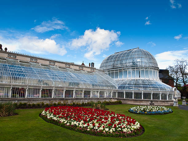 ботанический пальмовая оранжерея в белфасте, северная ирландия - palm house стоковые фото и изображения