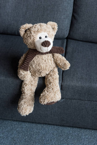 istock high angle view of cute brown teddy bear on grey couch 1042678376