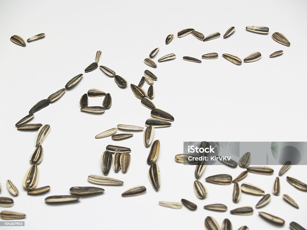 House by sunflower's seeds  Art Stock Photo