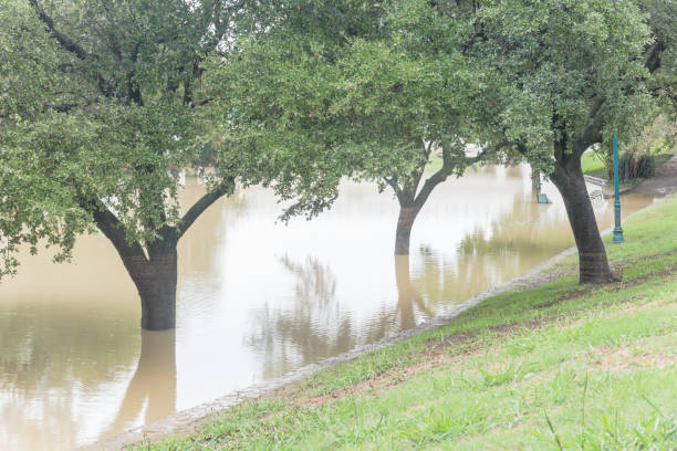 istock Flooded riverside apartment complex with swamp live oak trees 1042688216