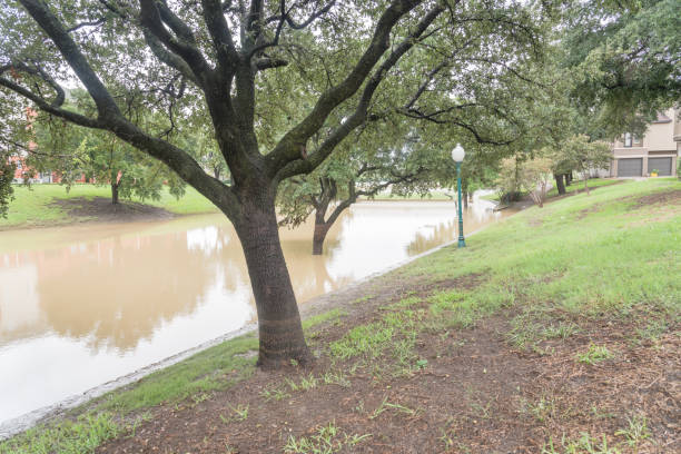 istock Flooded riverside apartment complex with swamp live oak trees 1042688796