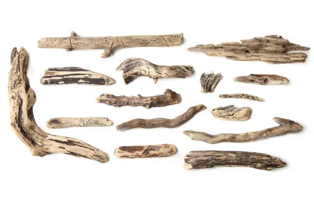 Photo of Set of driftwood isolated on white background.