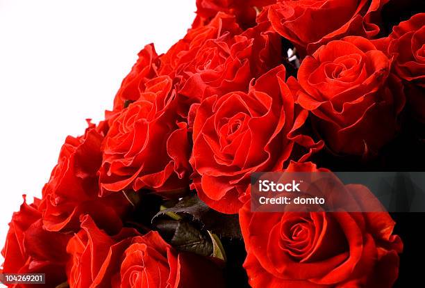 赤いバラ - カットアウトのストックフォトや画像を多数ご用意 - カットアウト, カラー画像, バレンタインカード