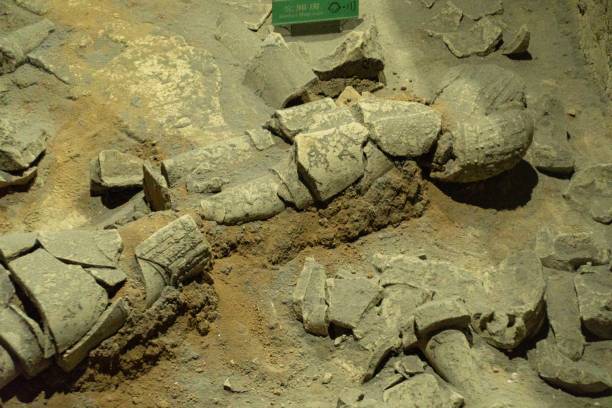 istock Terracotta Army (Warriors) and Horses 1042692444