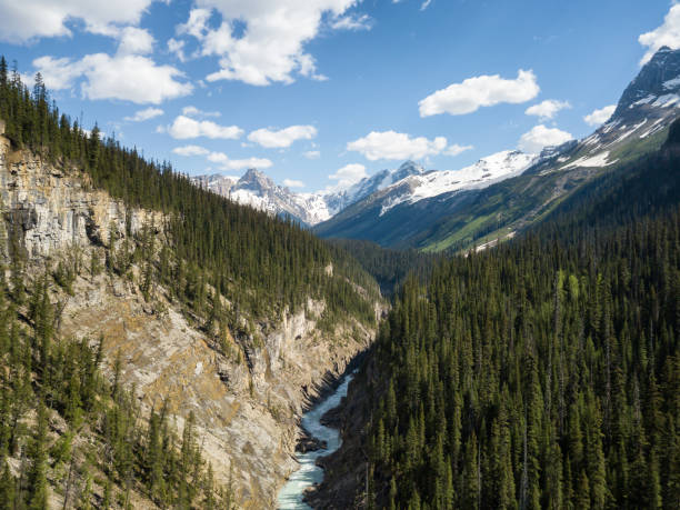 istock Aerial Landscape in British Columbia 1042692482