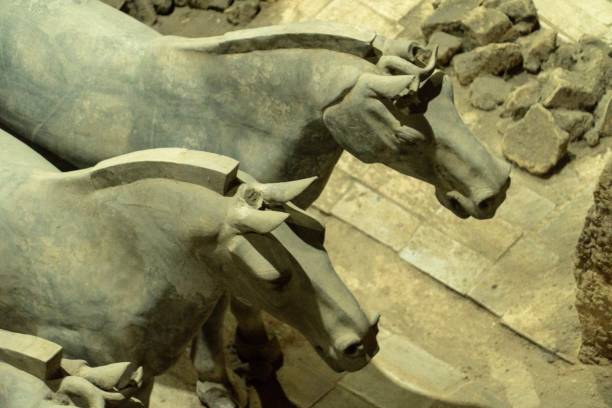 istock Terracotta Army (Warriors) and Horses 1042692918
