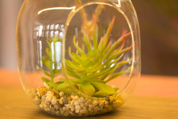 istock plants in a glass vase 1042695614