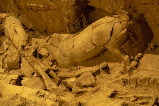 istock Terracotta Army (Warriors) and Horses 1042695722