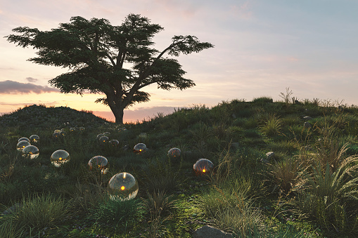 Fantasy meadow with glowing glass spheres.