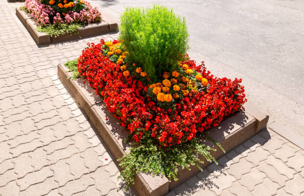 istock Flower bed with different colorful flowers 1042703400