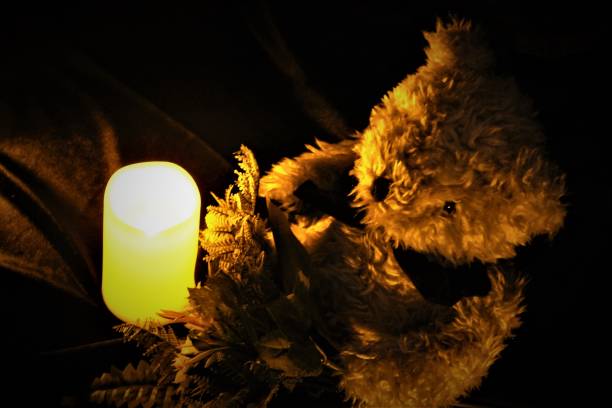 A Candle Lit Night Series: Photo 8