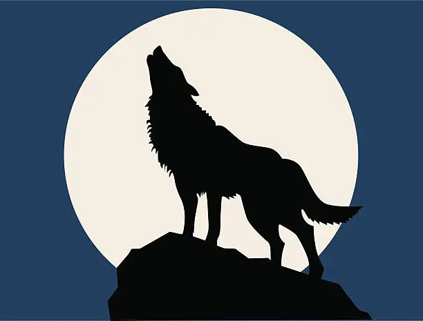 Vector illustration of wolf howling at the full moon
