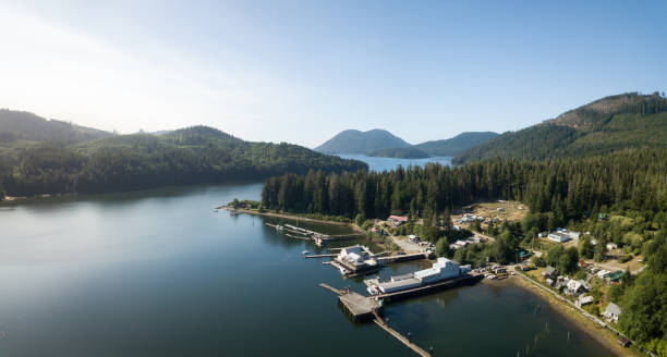 istock Aerial view of Winter Harbour, BC 1042708816