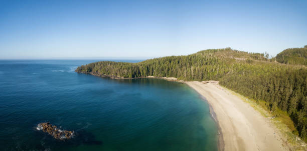 istock Aerial view of the Pacific Ocean 1042708878