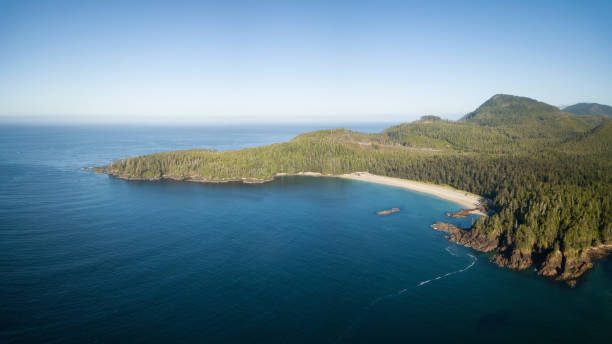 istock Aerial view of the Pacific Ocean 1042708896