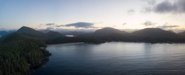 istock Aerial view of the Pacific Ocean 1042708942