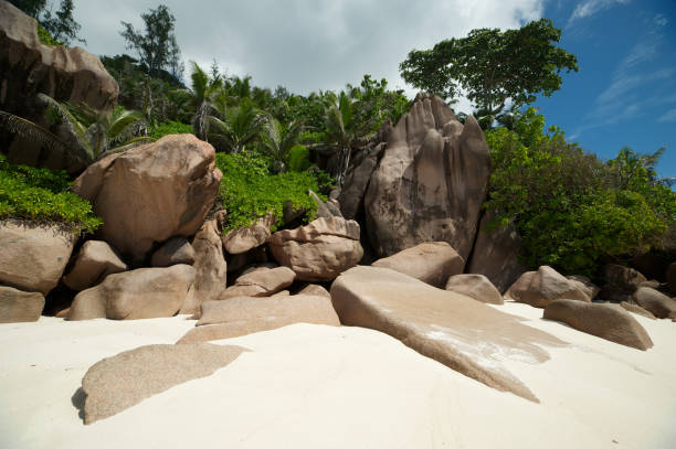 istock Granite, vegetation and the whitest sand you will ever see 1042709048