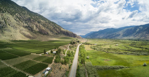 Aerial view of Farm Fields