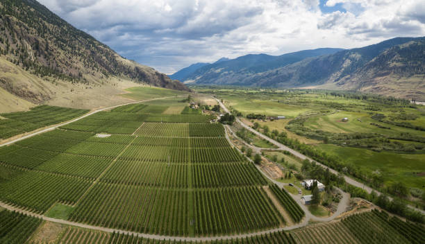 istock Aerial view of Farm Fields 1042709094