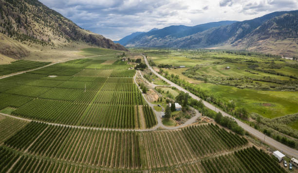 istock Aerial view of Farm Fields 1042709096