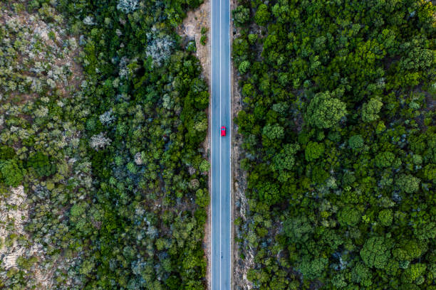 aerial view of a red car that runs along a road flanked by a green forest. - vista aérea de carro isolado imagens e fotografias de stock