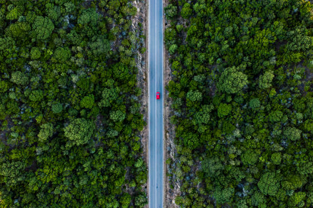 vista aérea de un coche rojo que corre a lo largo de un camino flanqueado por un bosque verde. - carretera de campo fotografías e imágenes de stock